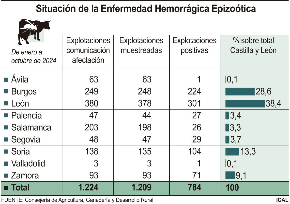 Casos de EHE en Castilla y León