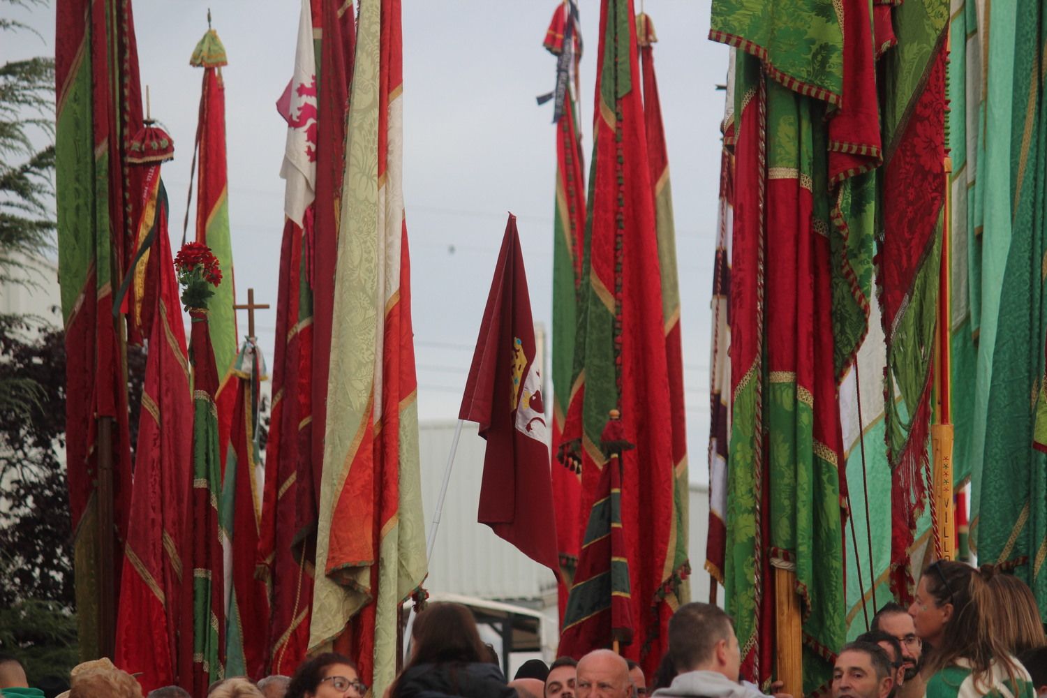 Romería de San Froilán 2024