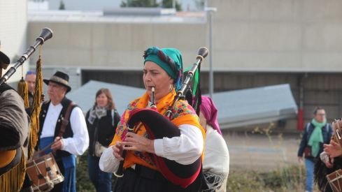 Romería de San Froilán 2024