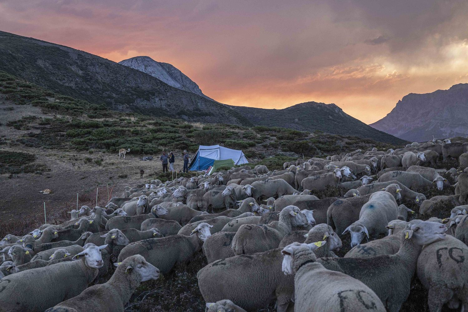 Libro ‘Los guardianes del Puerto de Pandetrave’ (León), del fotógrafo burgalés Jorge Contreras Soto