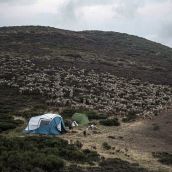 La realidad de la alta montaña leonesa: La "dura" vida de los pastores trashumantes 
