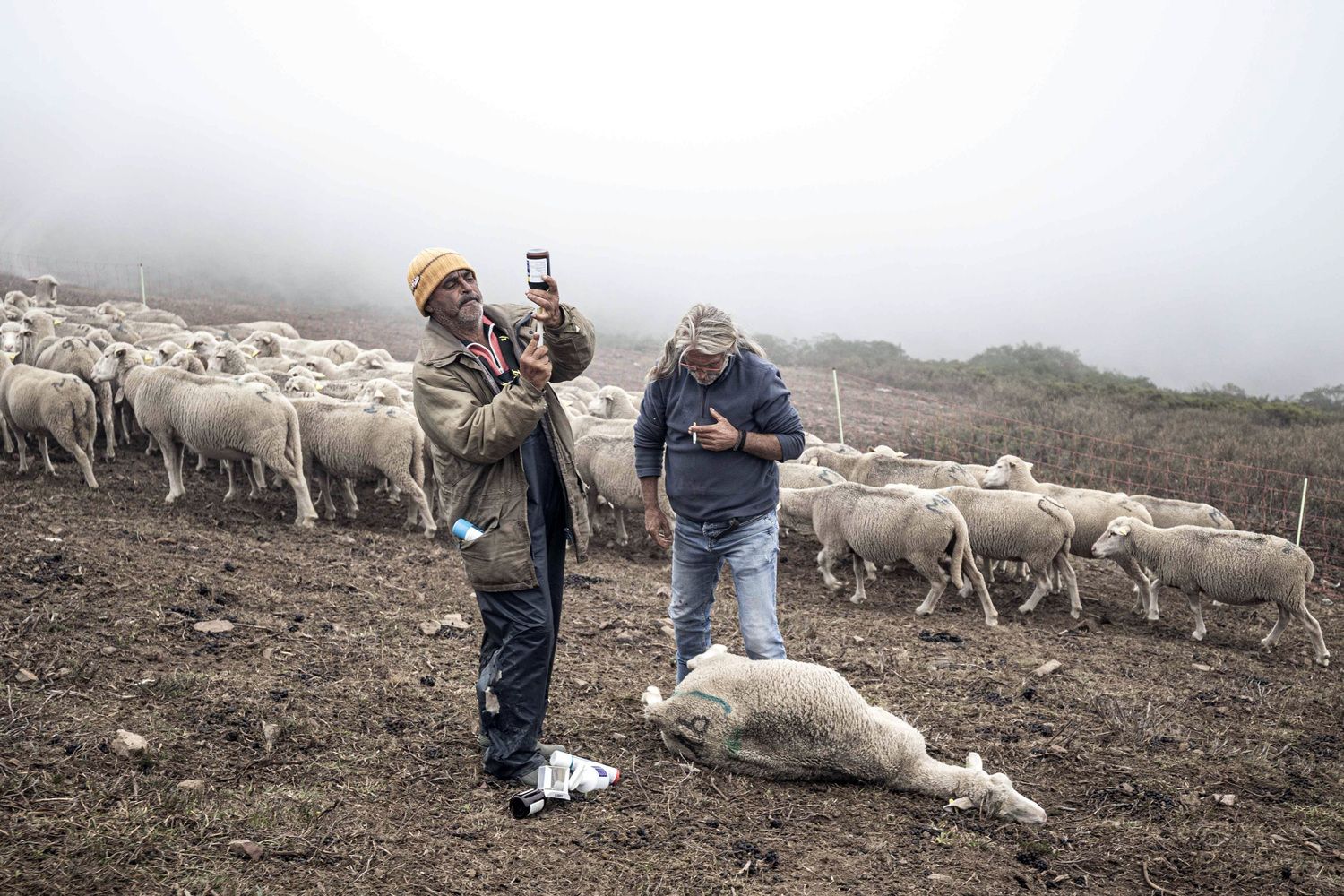 Libro ‘Los guardianes del Puerto de Pandetrave’ (León), del fotógrafo burgalés Jorge Contreras Soto