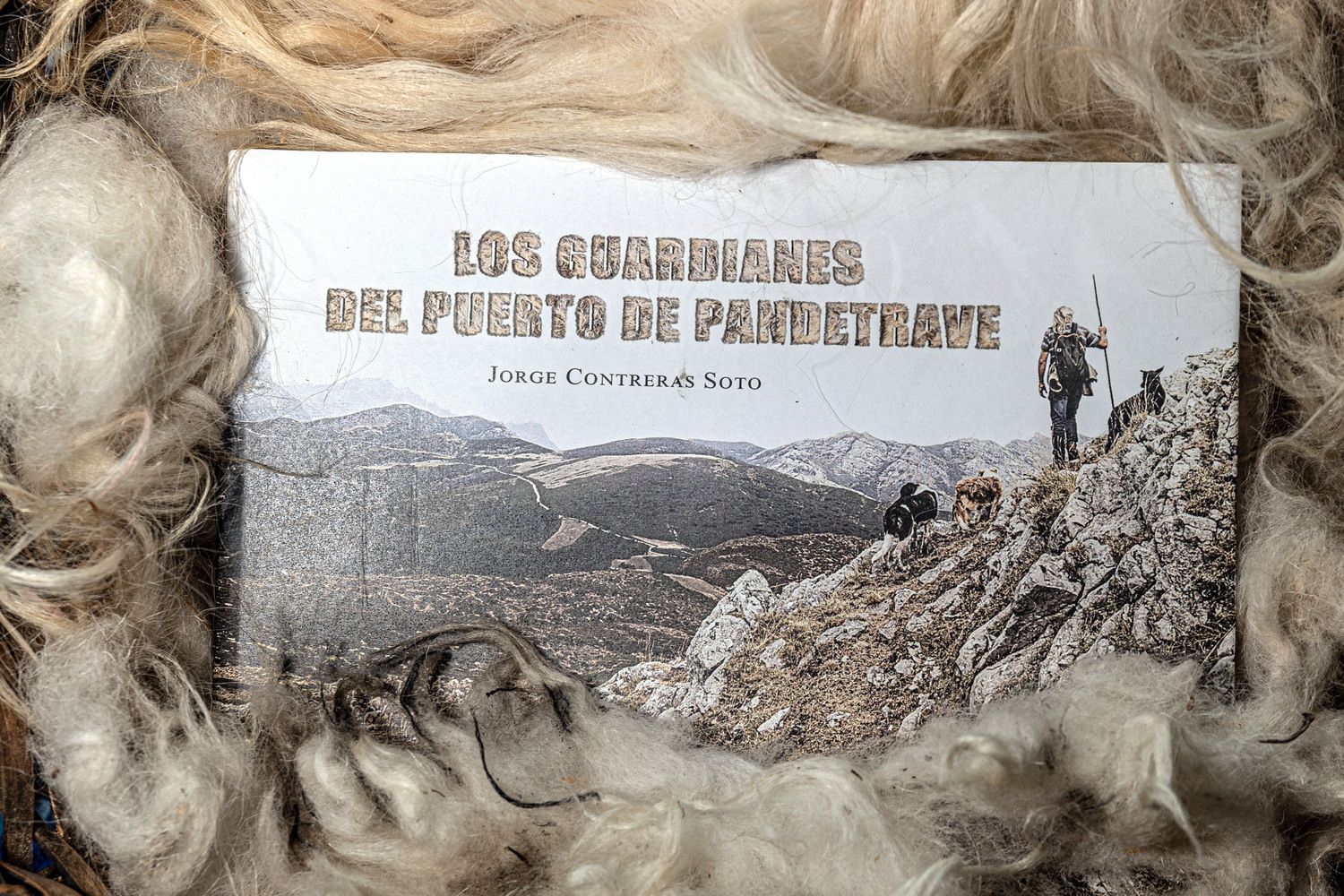 Libro ‘Los guardianes del Puerto de Pandetrave’ (León), del fotógrafo burgalés Jorge Contreras Soto