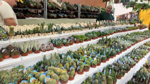 Mercado de las Tres Culturas de León