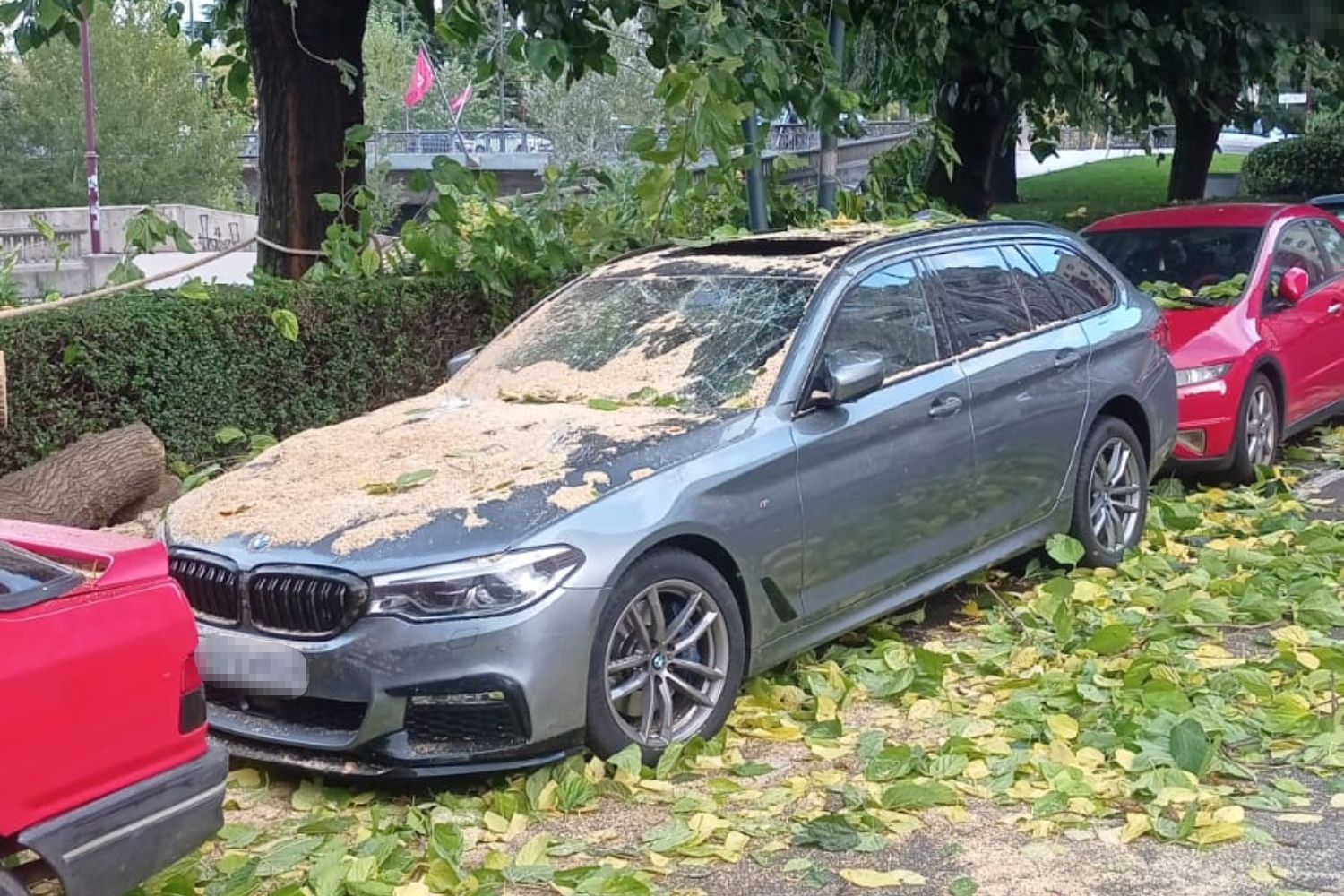 Estado del coche tras la retirada del árbol