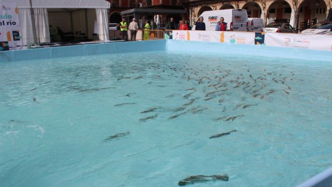 Instalaciones de Aula del río de la LVI Semana Internacional de la Trucha en la Plaza Mayor de León  