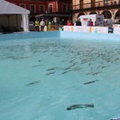 Instalaciones de Aula del río de la LVI Semana Internacional de la Trucha en la Plaza Mayor de León  