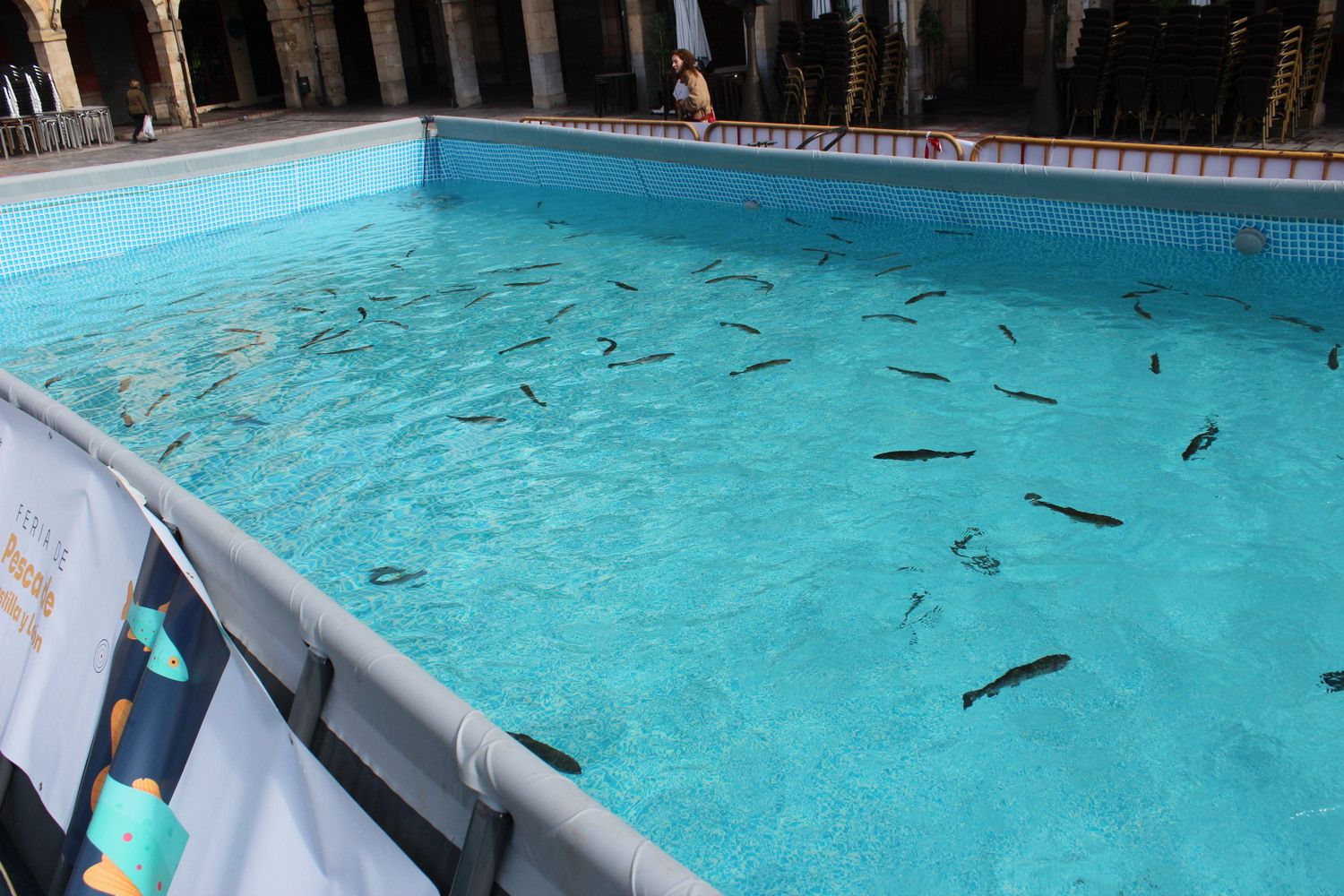 Instalaciones de Aula del río de la LVI Semana Internacional de la Trucha en la Plaza Mayor de León