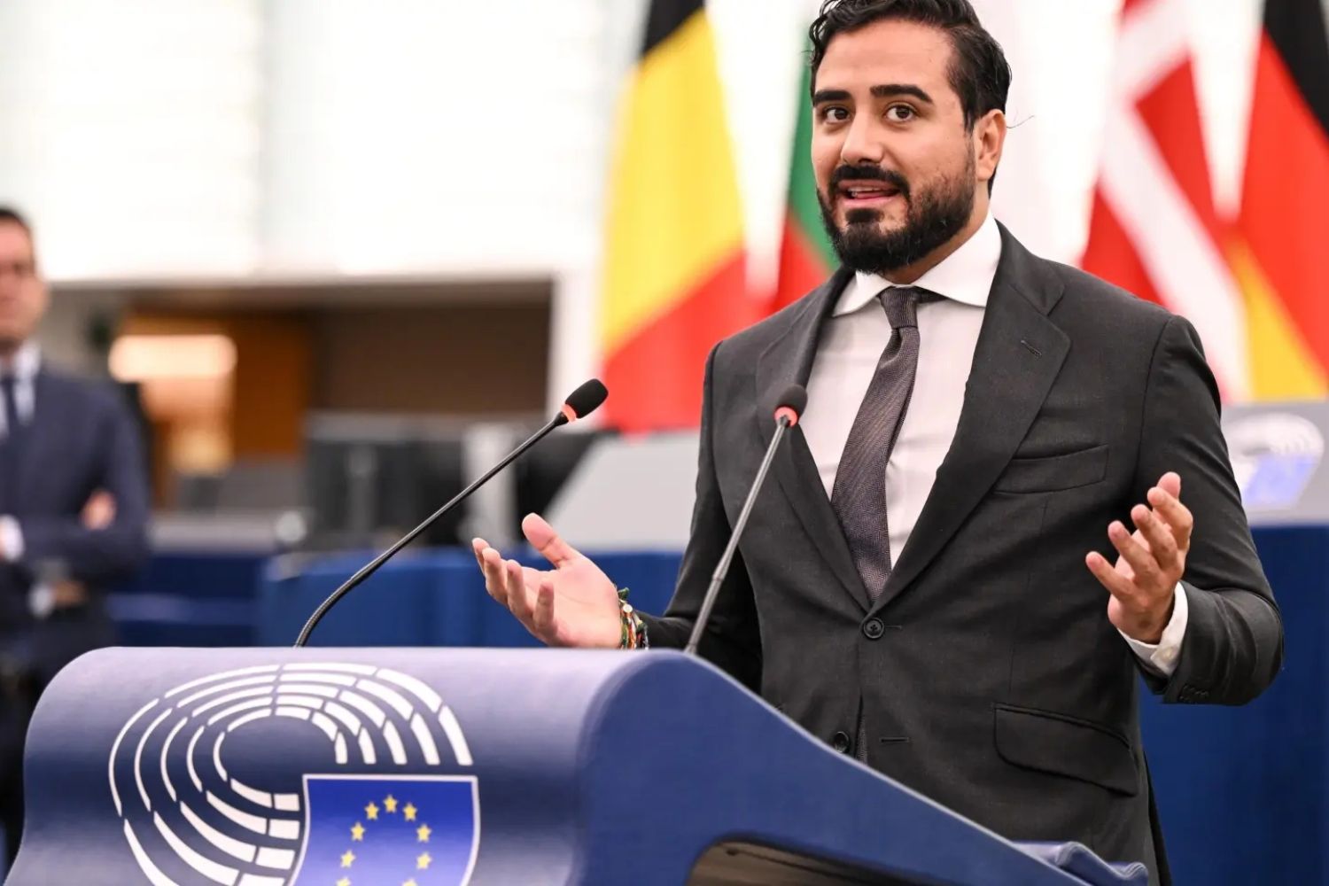 lvise Pérez, durante una  intervención en el pleno de la Eurocámara en Estrasburgo | Foto: Parlamento Europeo