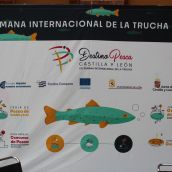 León acoge a expertos del sector en la Jornada Técnicas de Gestión de Pesca Continental de la Semana de la Trucha