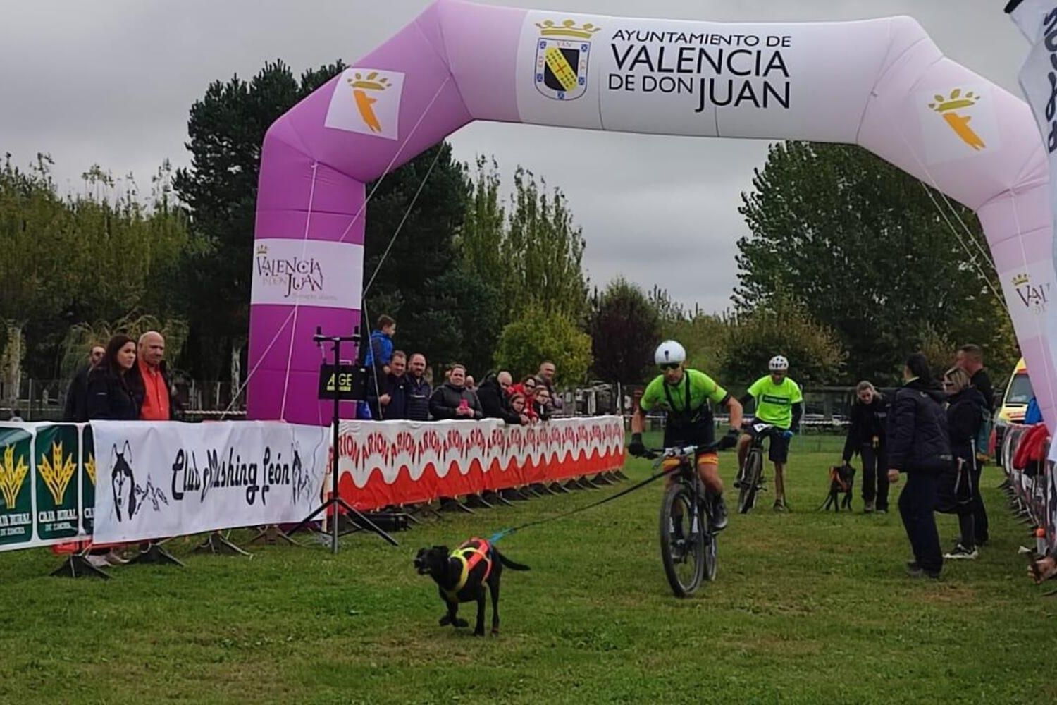 Competición de Mushing en Valencia de Don Juan