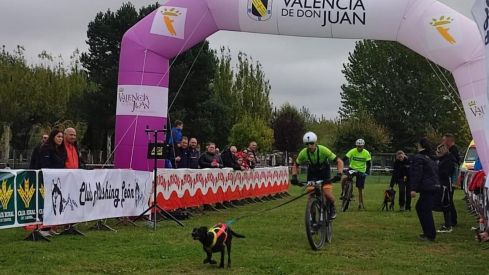Competición de Mushing en Valencia de Don Juan