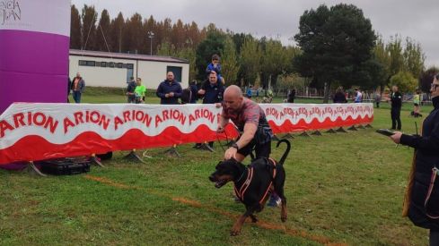 Competición de Mushing en Valencia de Don Juan