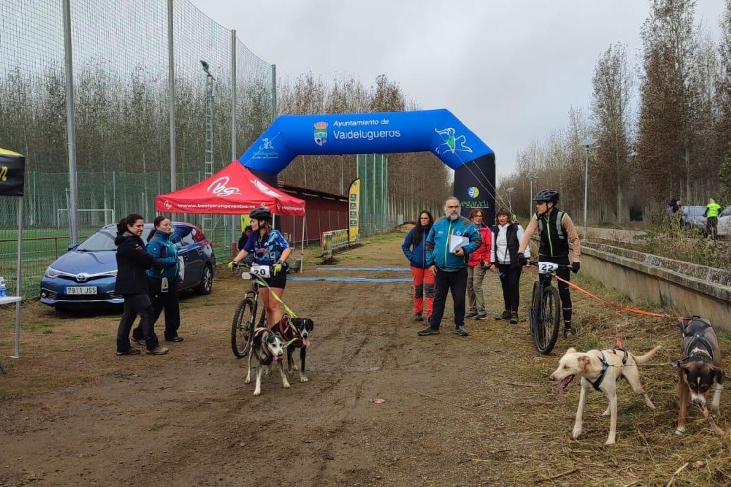 Competición de Mushing en Valencia de Don Juan