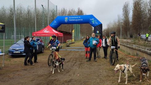 Competición de Mushing en Valencia de Don Juan