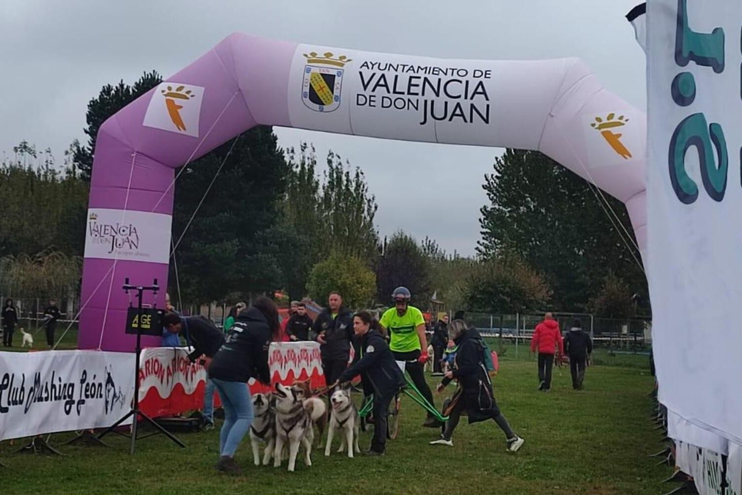 Competición de Mushing en Valencia de Don Juan