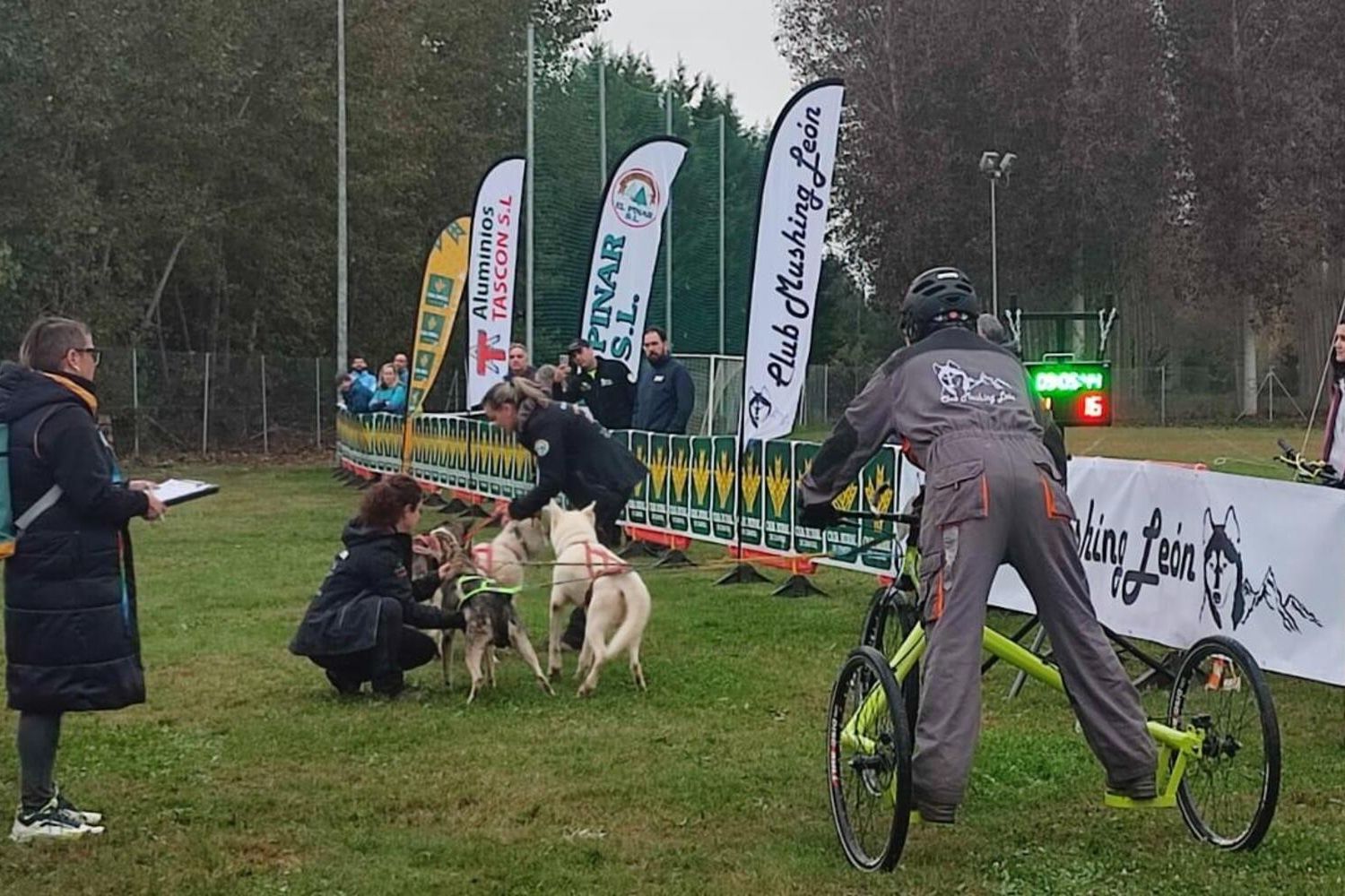 Competición de Mushing en Valencia de Don Juan