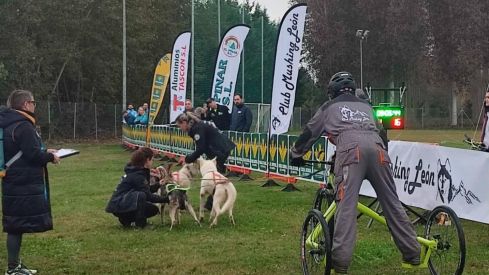 Competición de Mushing en Valencia de Don Juan