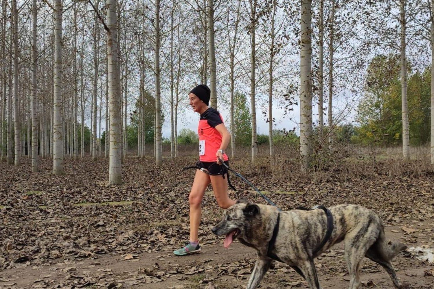 Competición de Mushing en Valencia de Don Juan