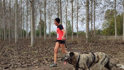 Competición de Mushing en Valencia de Don Juan