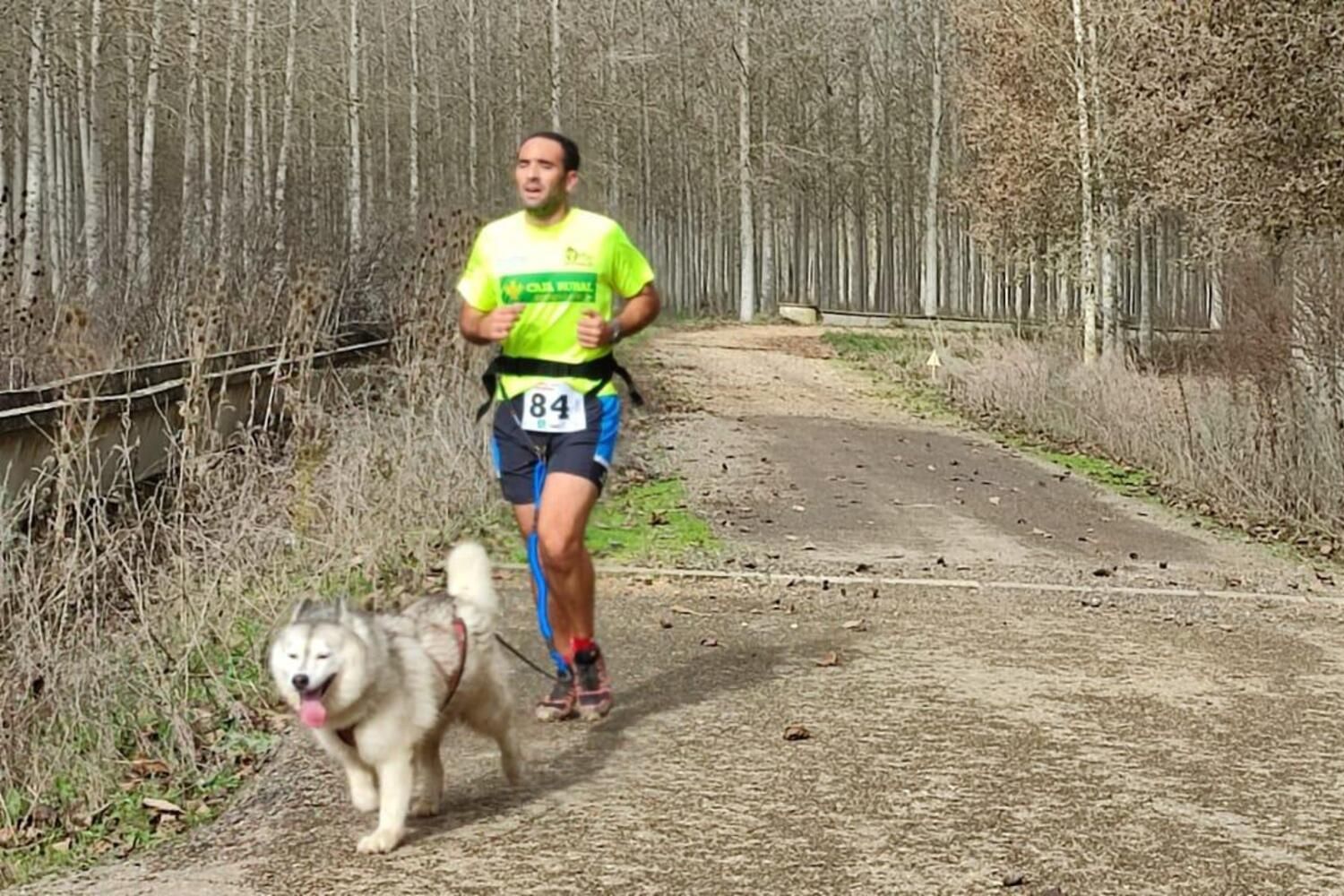 Competición de Mushing en Valencia de Don Juan