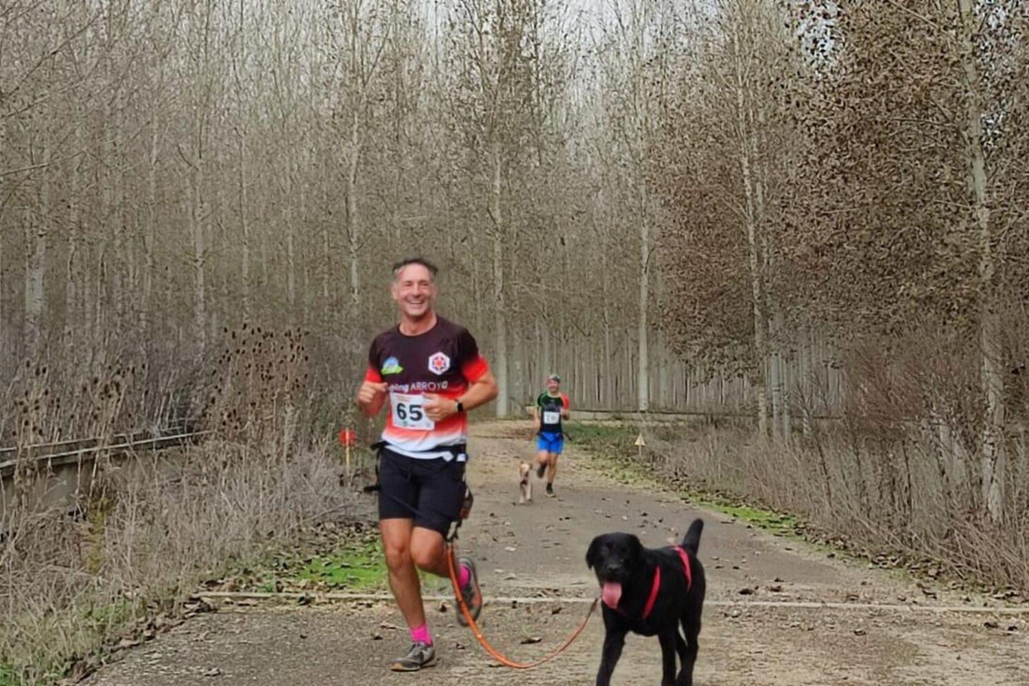 Competición de Mushing en Valencia de Don Juan