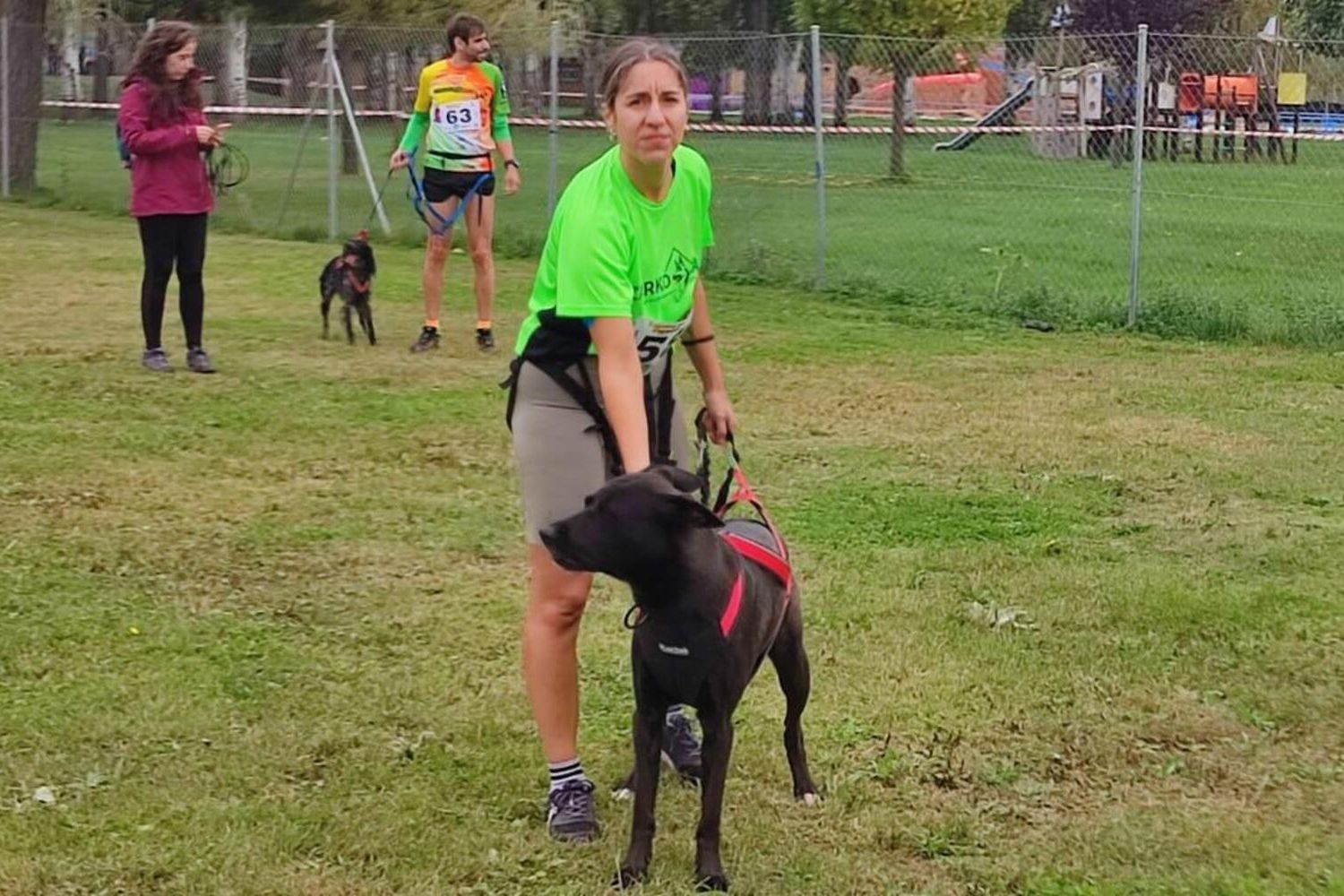 Competición de Mushing en Valencia de Don Juan