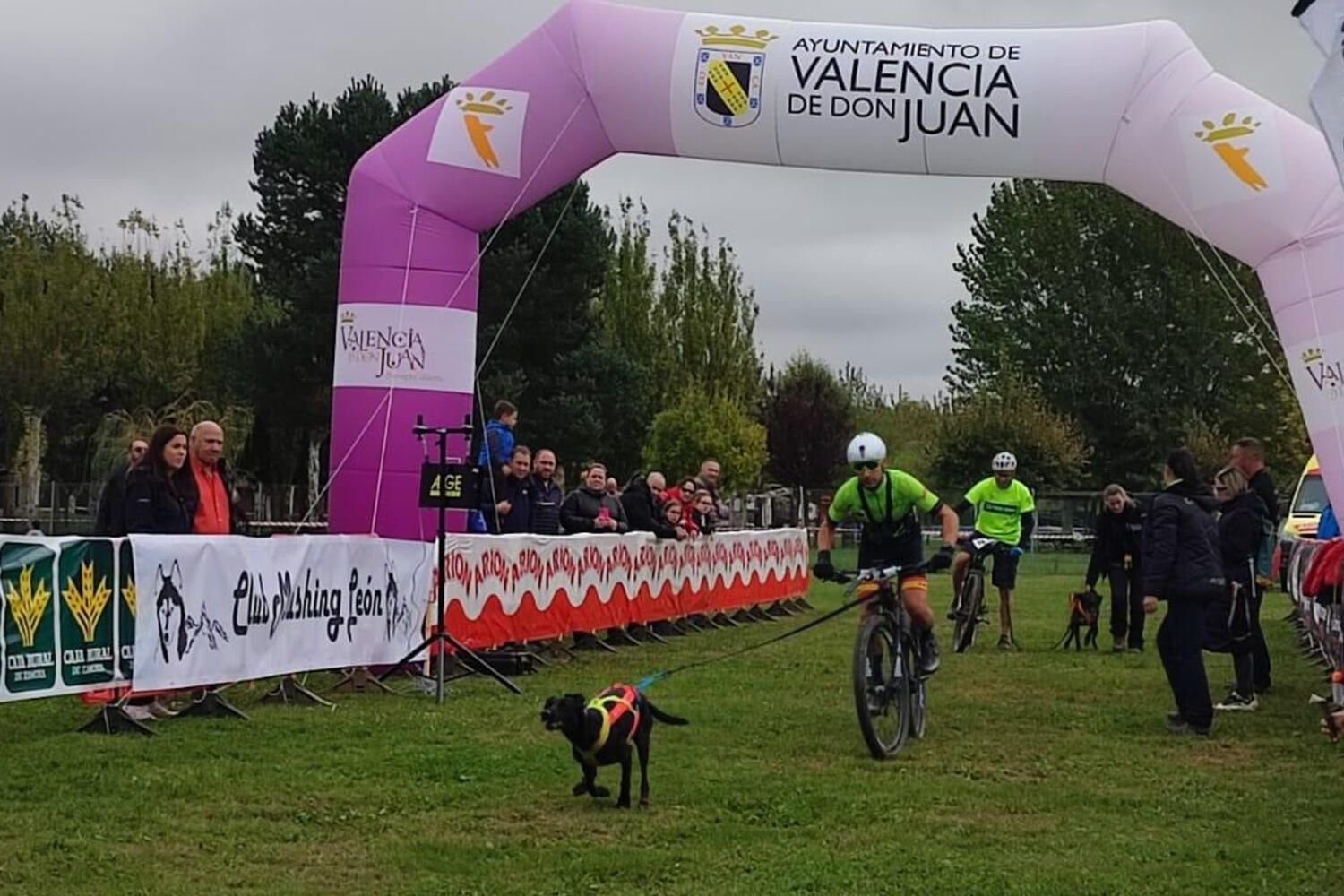 Competición de Mushing en Valencia de Don Juan