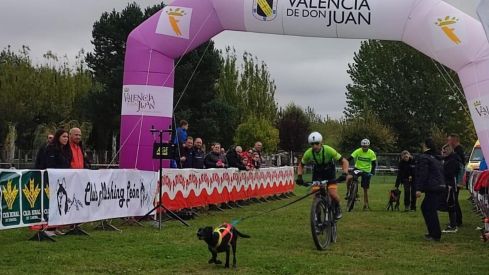 Competición de Mushing en Valencia de Don Juan