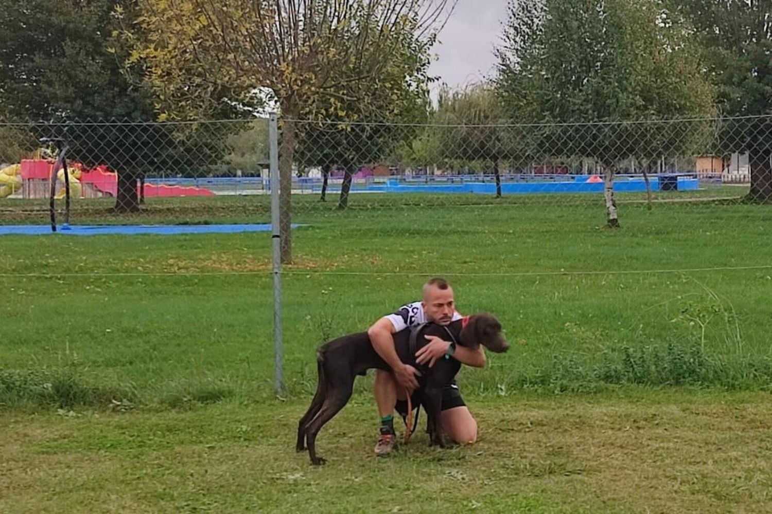 Competición de Mushing en Valencia de Don Juan