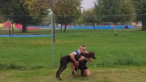 Competición de Mushing en Valencia de Don Juan