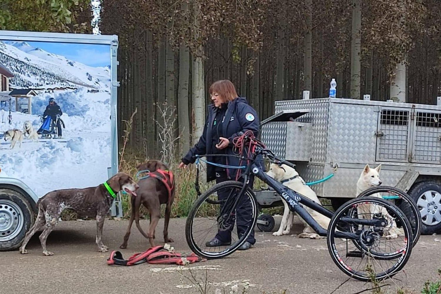 Competición de Mushing en Valencia de Don Juan