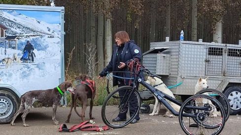 Competición de Mushing en Valencia de Don Juan