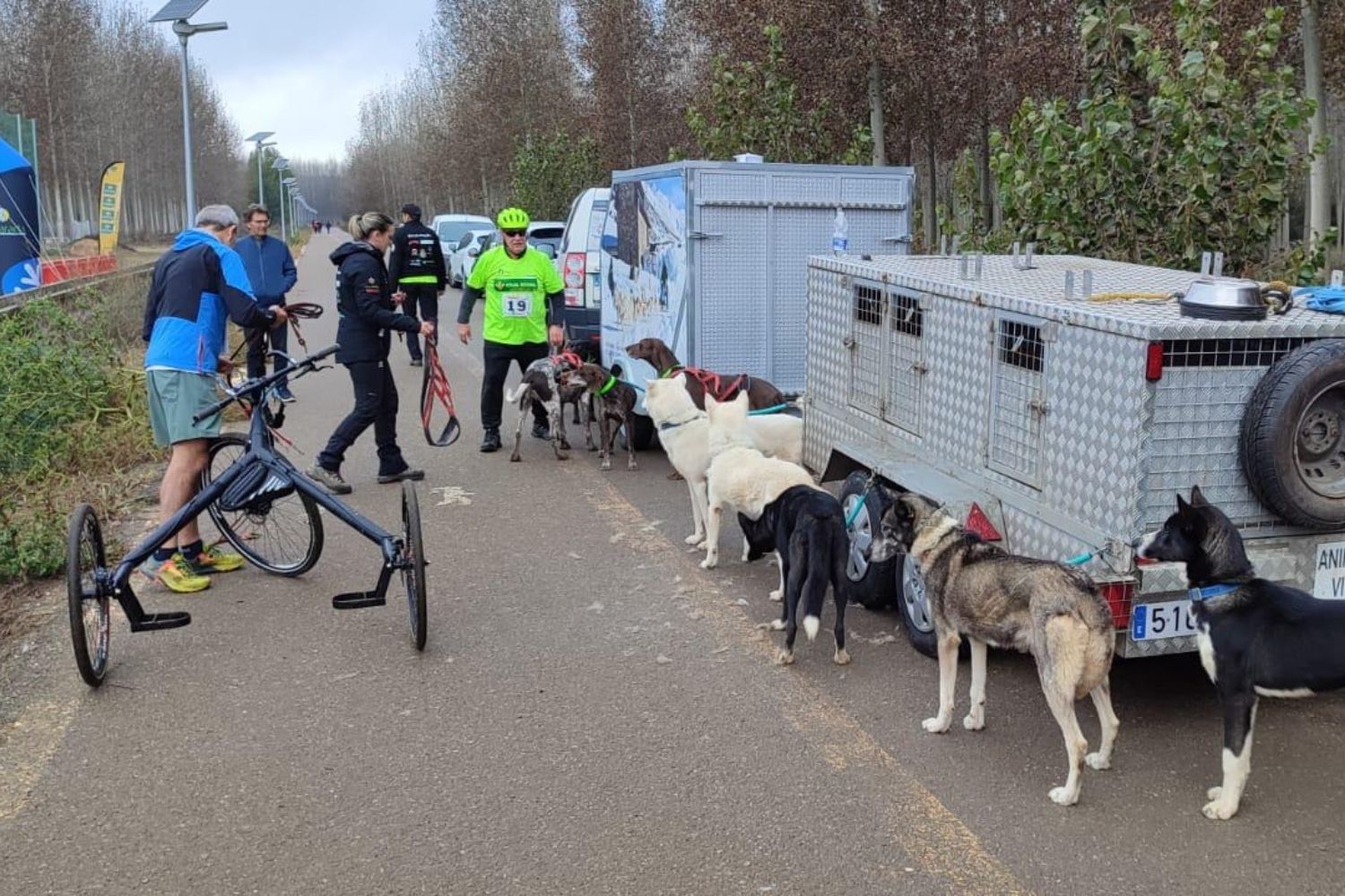 Competición de Mushing en Valencia de Don Juan