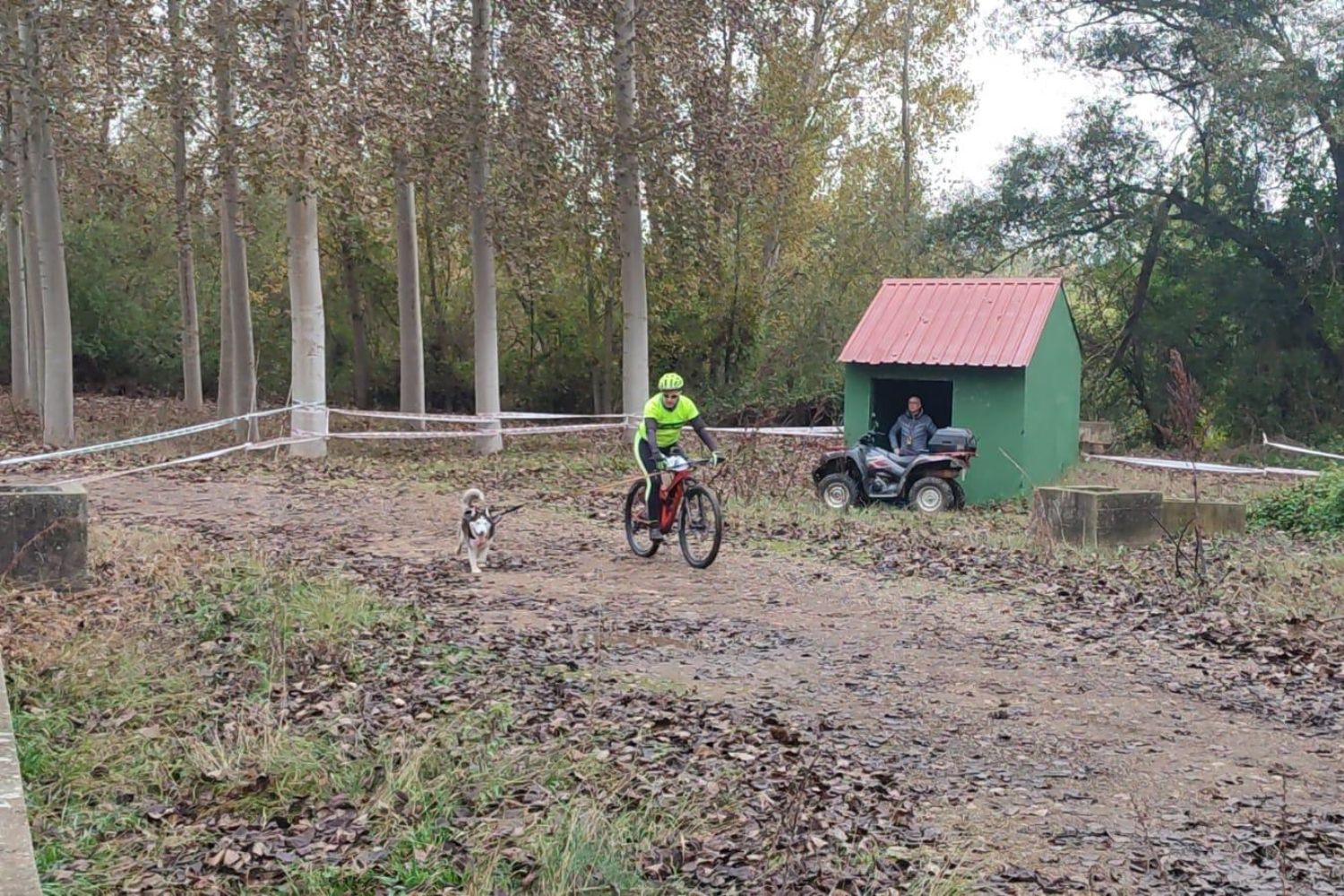 Competición de Mushing en Valencia de Don Juan