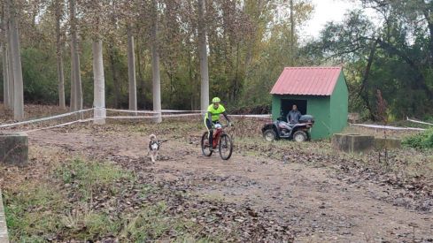 Competición de Mushing en Valencia de Don Juan