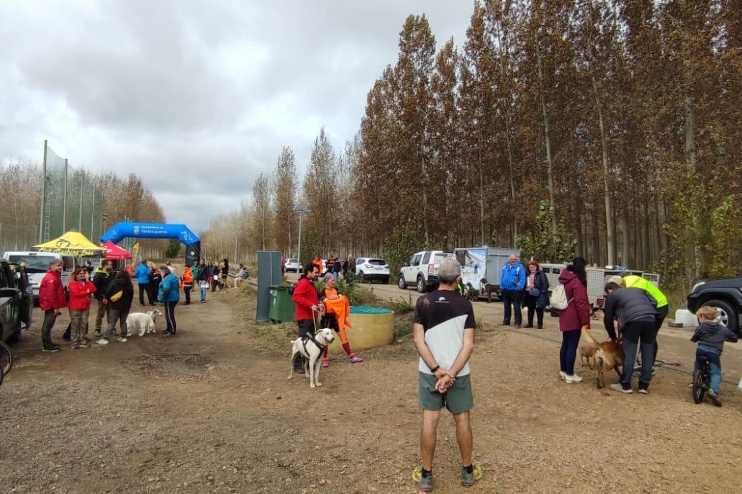 Competición de Mushing en Valencia de Don Juan