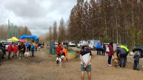 Competición de Mushing en Valencia de Don Juan