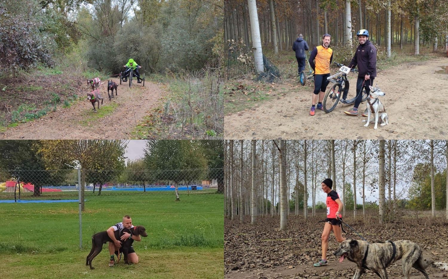 Cerca de un centenar de personas disfrutan del Mushing, con sus perros, en Valencia de Don Juan