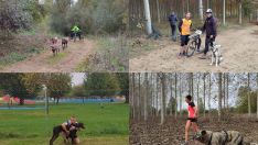 Cerca de un centenar de personas disfrutan del Mushing, con sus perros, en Valencia de Don Juan