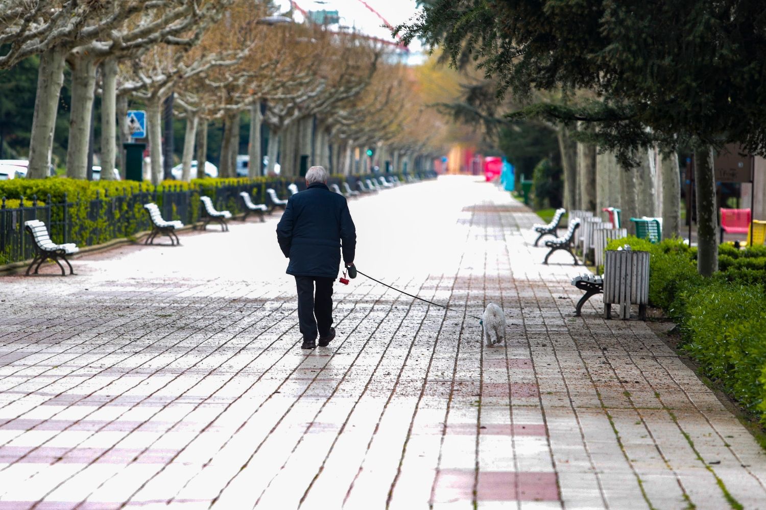 Paseo de Papalaguinda