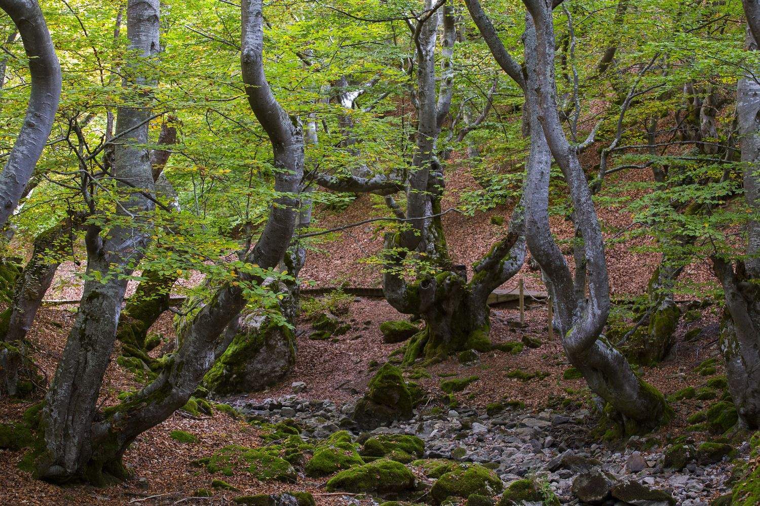 Alto Bernesga (León) celebrará el Día Internacional de las Reservas de la Biosfera con una ruta hidrogeológica