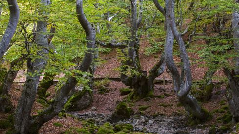 Alto Bernesga (León) celebrará el Día Internacional de las Reservas de la Biosfera con una ruta hidrogeológica
