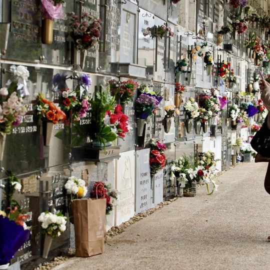 Día de Todos Los Santos en el Cementerio Municipal de León | Campillo / ICAL