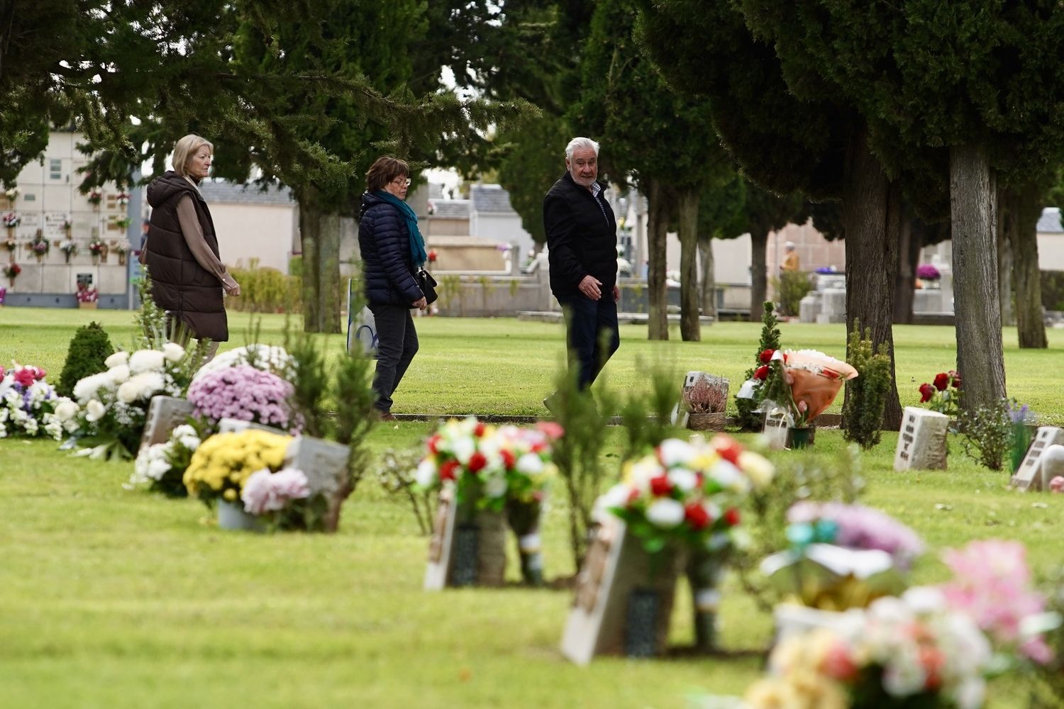  Día de Todos Los Santos en el Cementerio Municipal de León | Campillo / ICAL