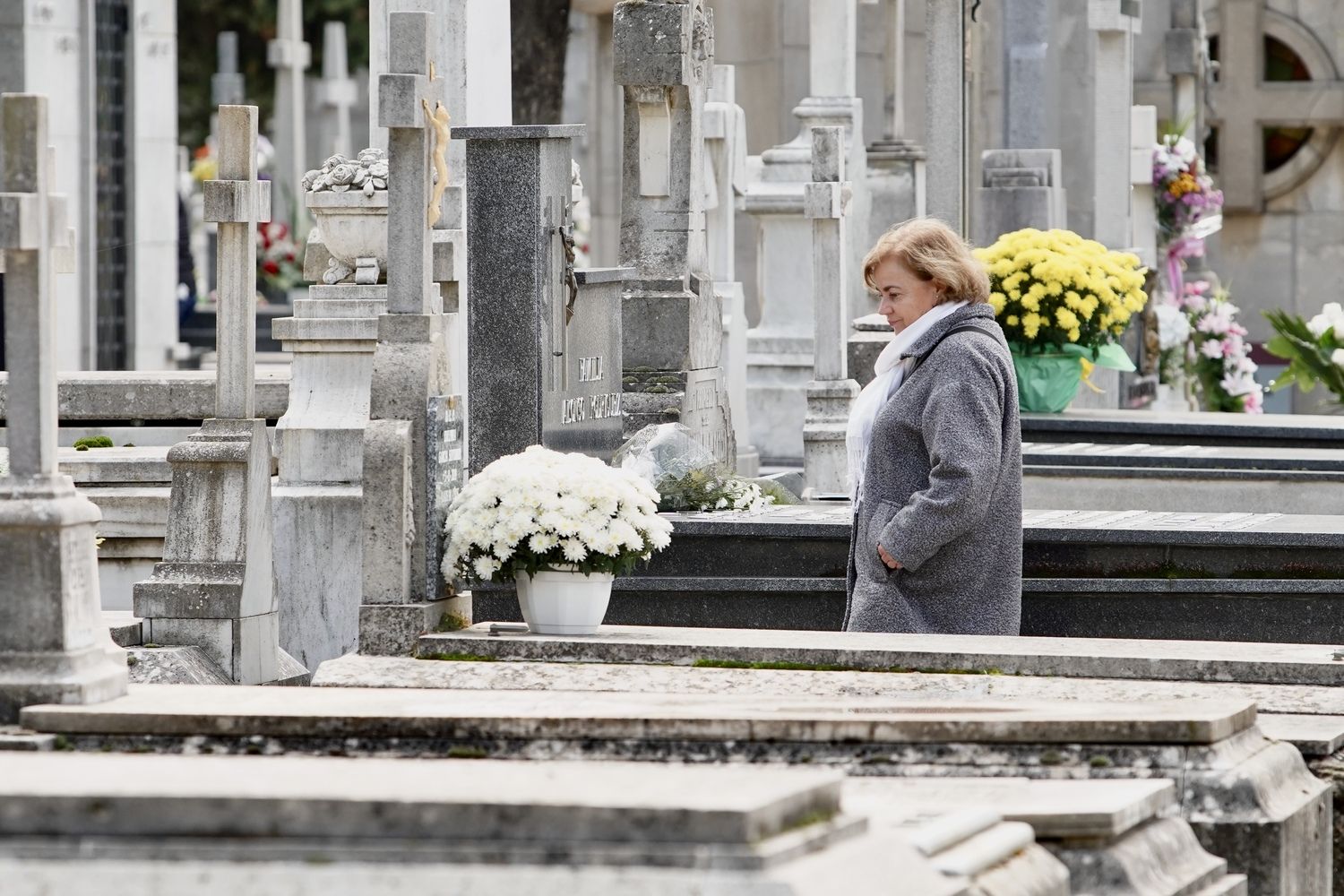 Día de Todos Los Santos en el Cementerio Municipal de León | Campillo / ICAL