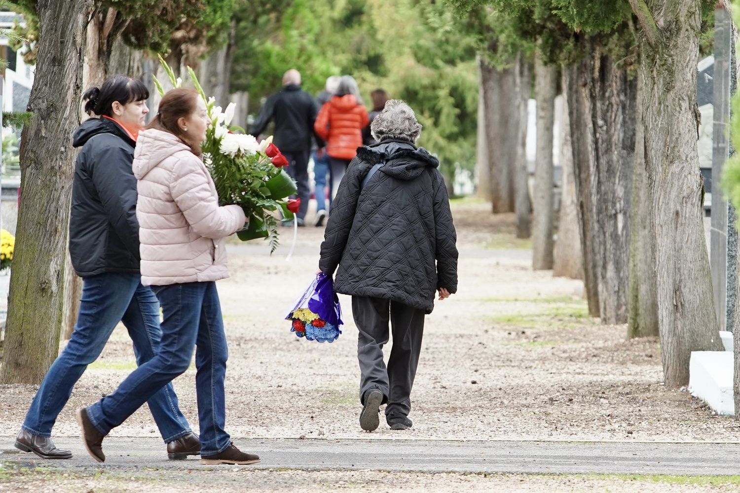  Día de Todos Los Santos en el Cementerio Municipal de León | Campillo / ICAL