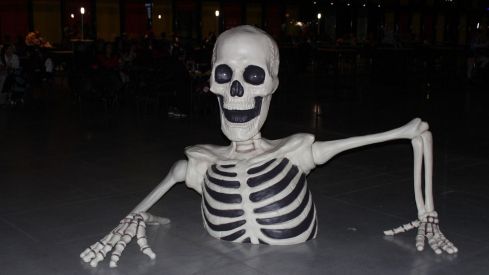 Hallowindie León 2024