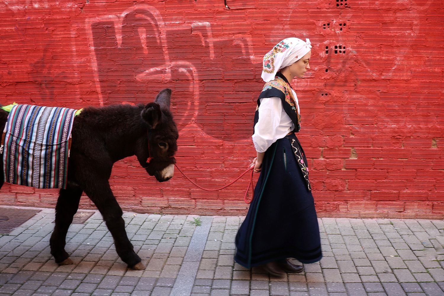 Estas son los ganadores del XIV maratón fotográfico Reino de León