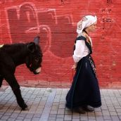 Estas son los ganadores del XIV maratón fotográfico Reino de León